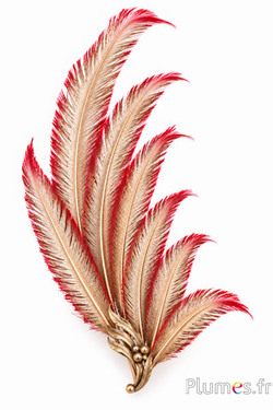 Struisvogel - Metallic Edge - 27-33 cm - rood-goud